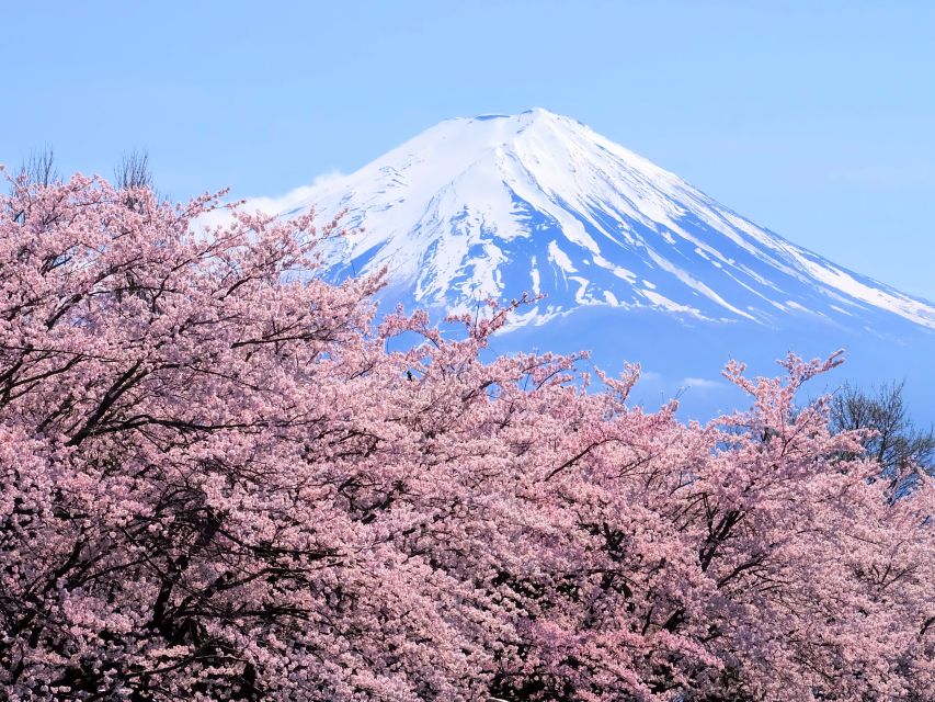 From Tokyo to Mount Fuji: Full-Day Tour and Hakone Cruise - Quick Takeaways