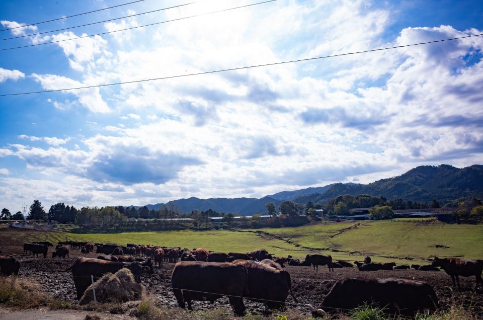 Fukushima Exclusion Zone Day Tour From Tokyo - The Sum Up