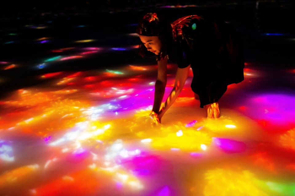 Teamlab Planets TOKYO: Digital Art Museum Entrance Ticket - Highlights of the Museum