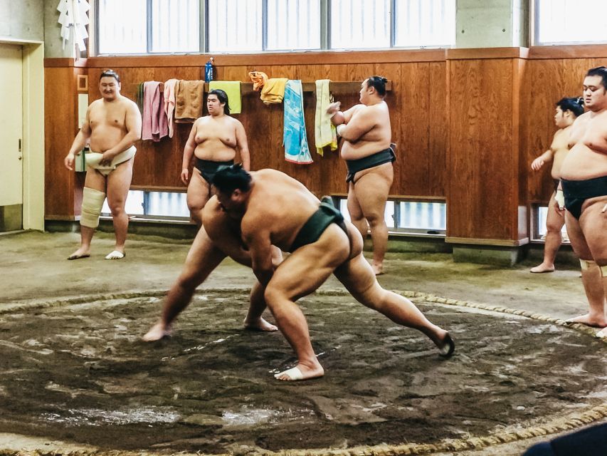 Tokyo: Sumo Morning Training Visit - Important Information