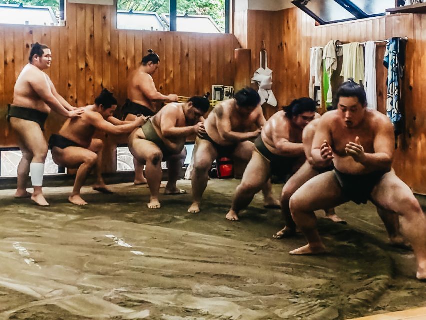 Tokyo: Sumo Morning Training Visit - Participant and Date Selection