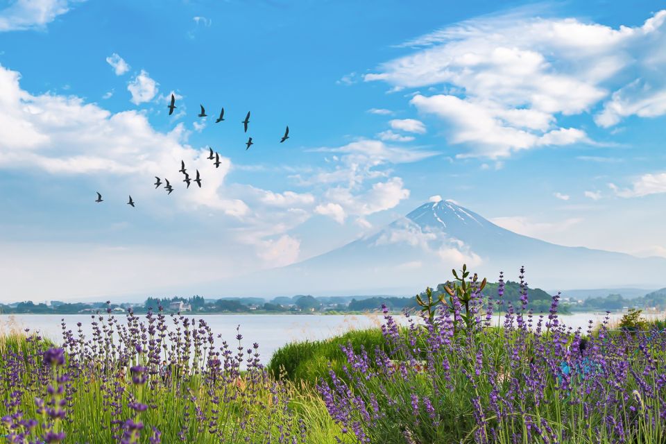 From Tokyo: 1-Day Private Mt. Fuji Tour by Car - Tour Experience