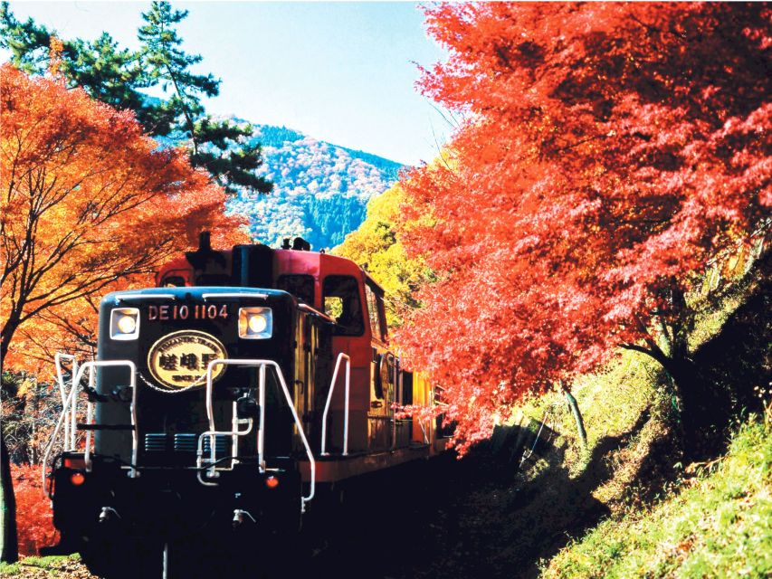 From Osaka: Kyoto Sightseeing Tour With Scenic Train Ride - Inclusions