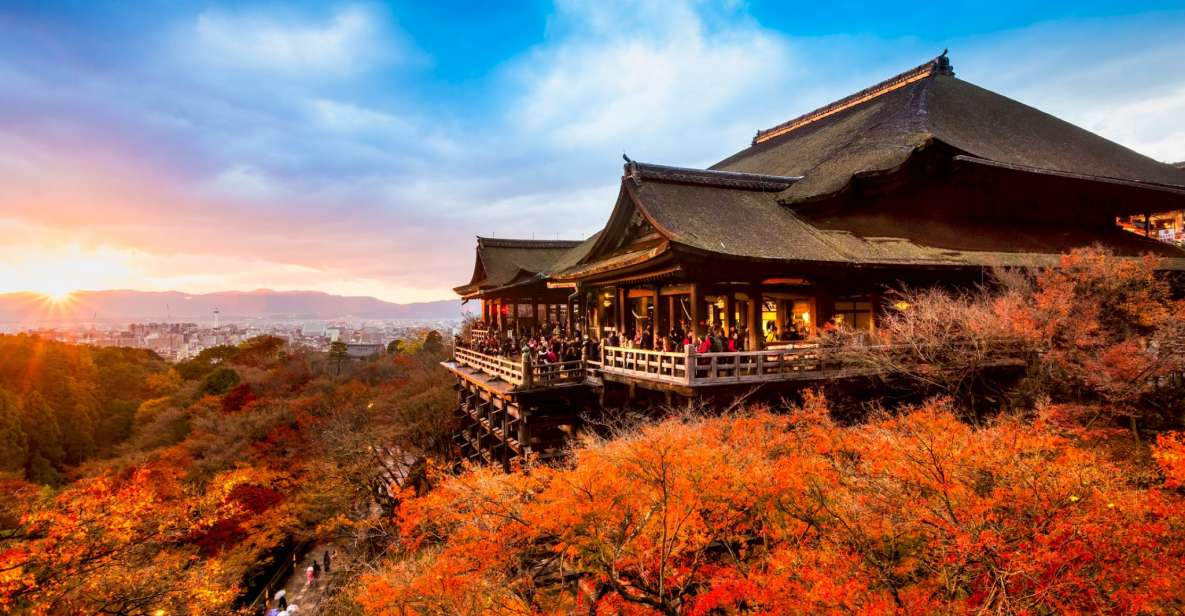 Kyoto: Top Highlights Full Day Trip - Fushimi Inari Shrines Vermillion Gates