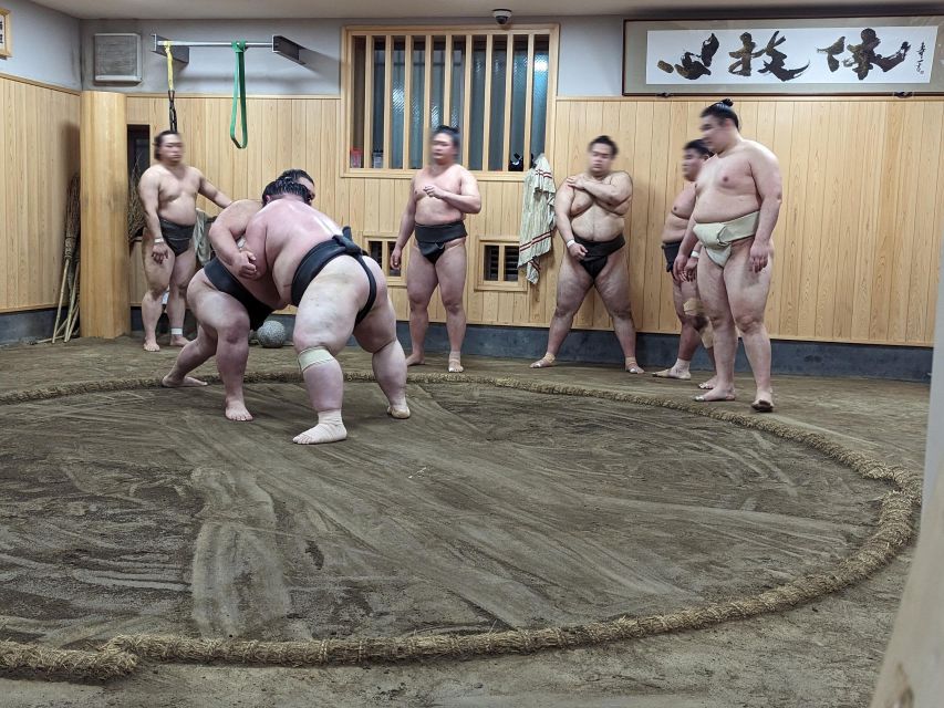 Tokyo: Morning Sumo Practice Viewing - The History and Origins of Sumo Wrestling