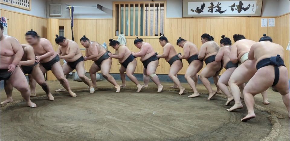 Tokyo: Morning Sumo Practice Viewing - Tips for a Memorable Sumo Viewing Experience