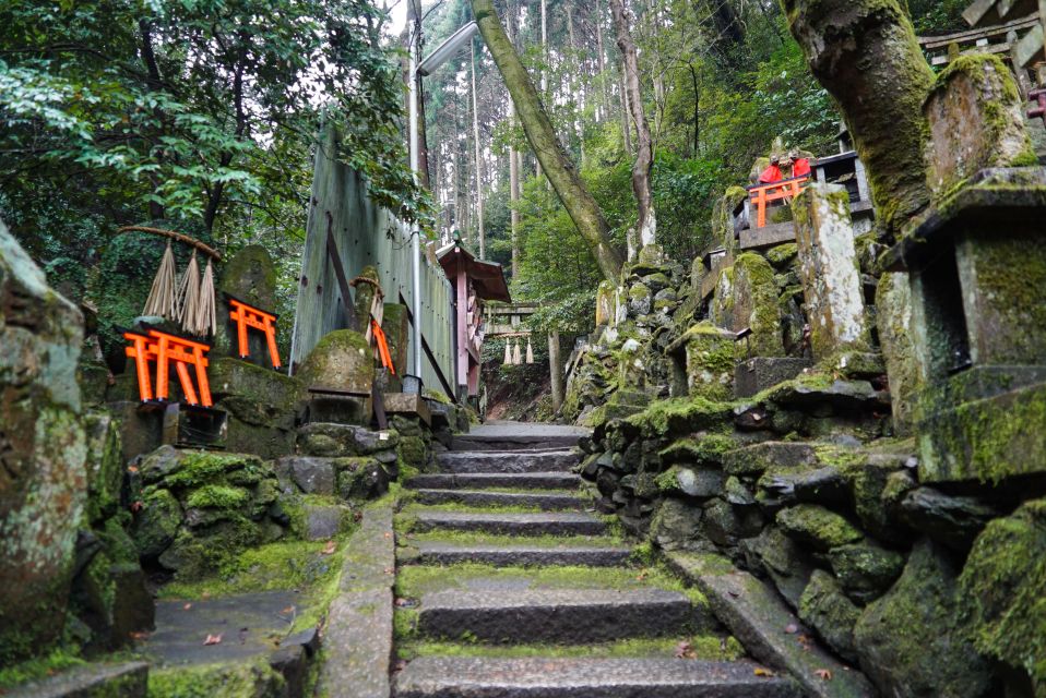 Kyoto: 3-Hour Fushimi Inari Shrine Hidden Hiking Tour - Review Summary