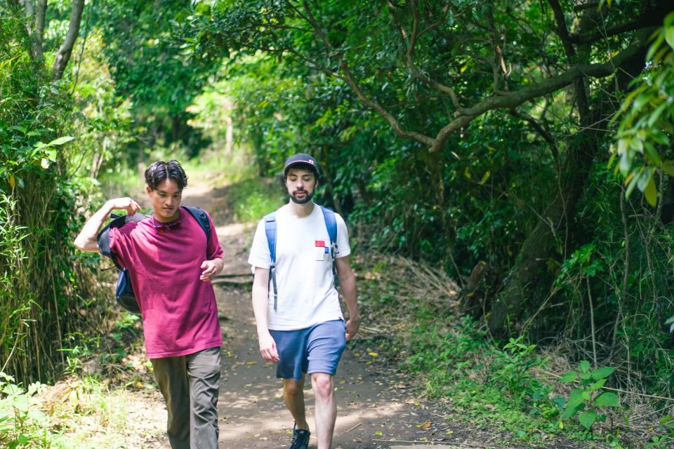 Kamakura Historical Hiking Tour With the Great Buddha - The Sum Up