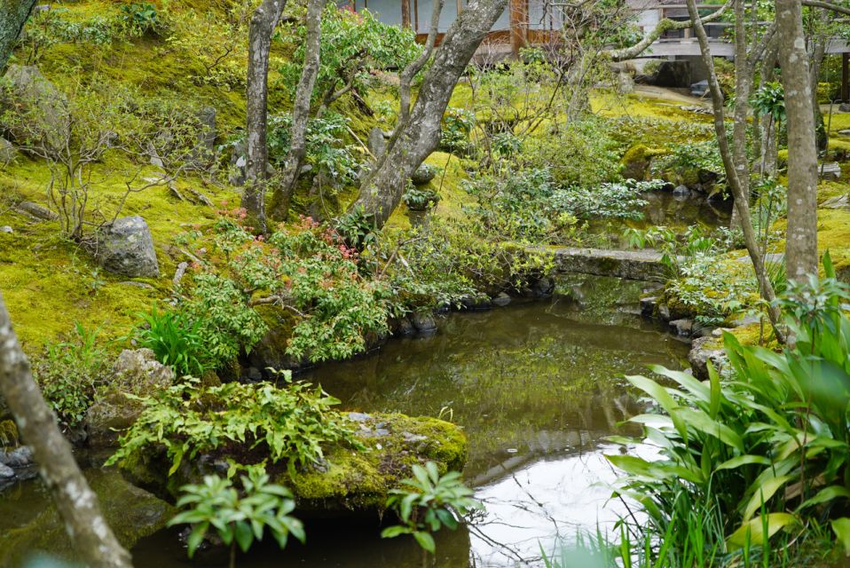 Kyoto: 4-Hour Arashiyama Walking Tour - The Sum Up