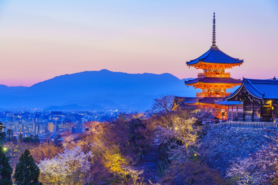 Higashiyama Kyoto: Sakura Season Private Rickshaw Tour - Experience Highlights