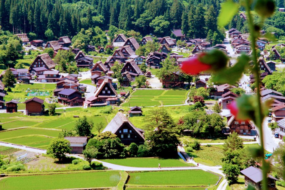 From Kanazawa: Shirakawago, Hida-Furukawa and Takayama Visit - Additional Information