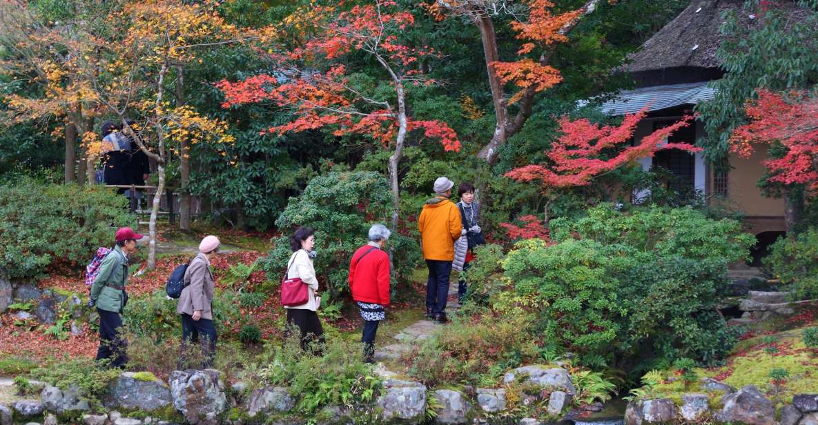 From Kyoto or Osaka: Private Walking Tour Through Nara - Experience Highlights