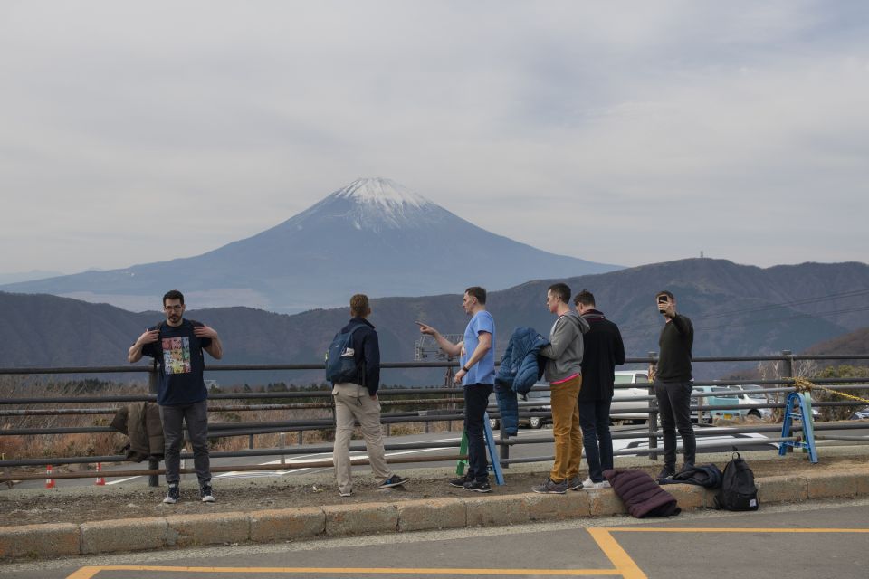 From Tokyo: Private Scenic Day Trip to Hakone - Customer Review