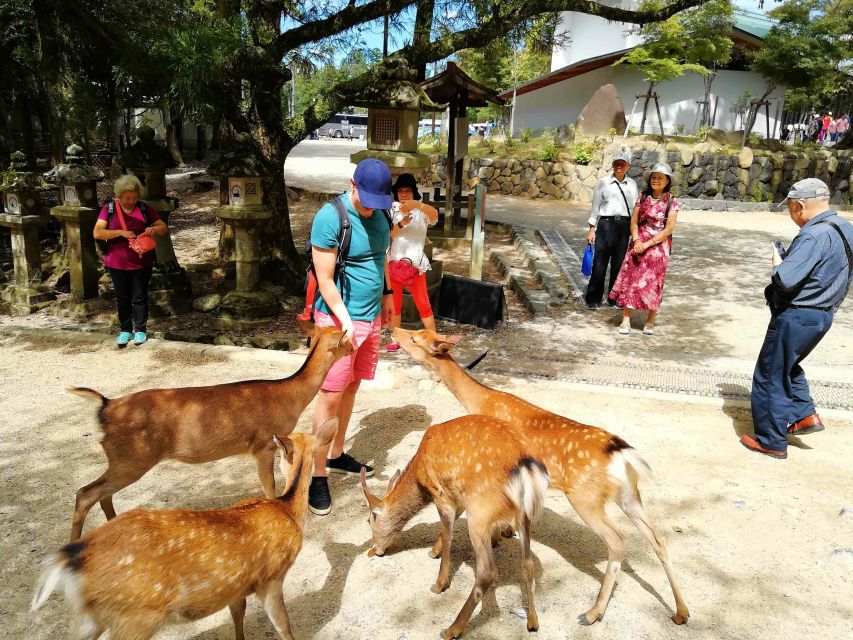 Nara: City Highlights Shared Group or Private Bike Tour - Additional Information