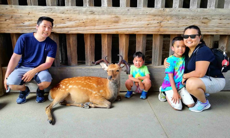 Nara: Nara Park Private Family Bike Tour With Lunch - Meeting Point and Safety Briefing