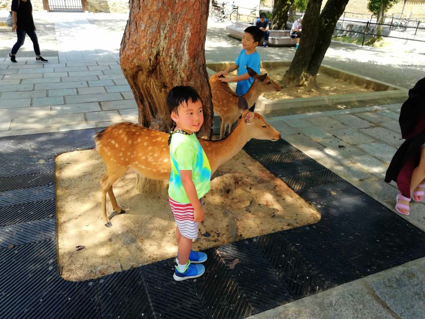 Nara: Nara Park Private Family Bike Tour With Lunch - Duration and Starting Times