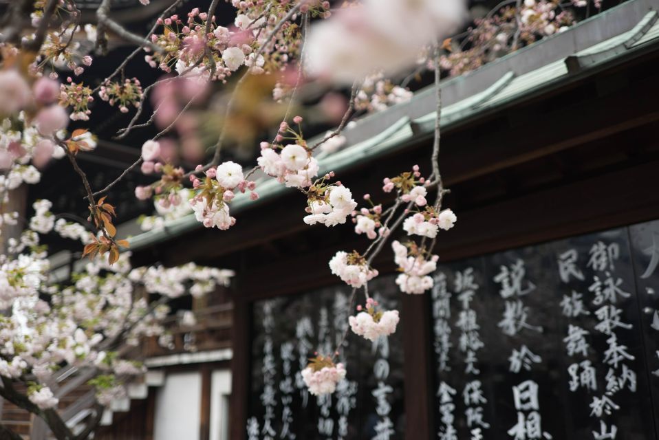 From Tokyo: Private Historical Day Trip to Kawagoe - Discover Preserved Traditional Wooden Buildings