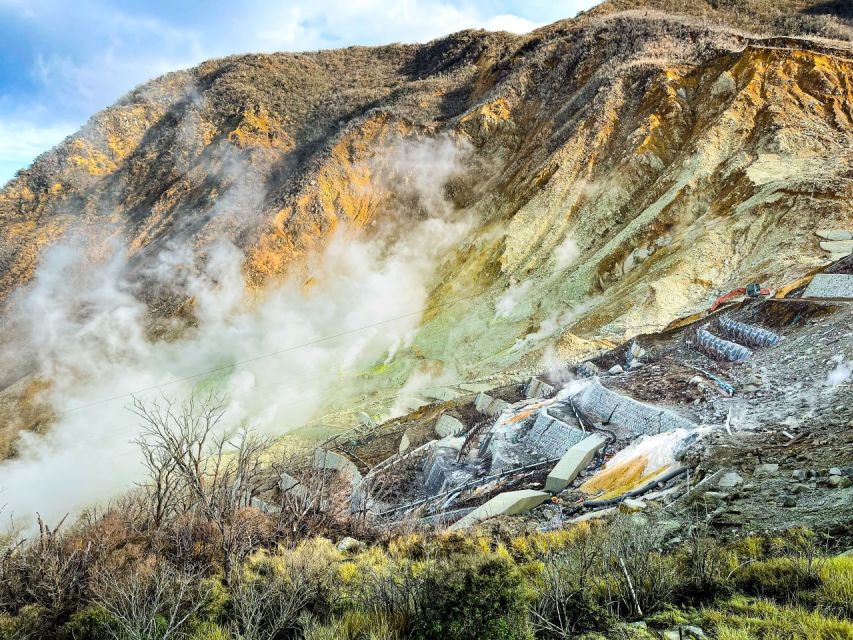 From Tokyo: Hakone, Owakudani, & Lake Kawaguchi Day Tour - Inclusions