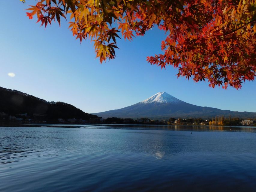 From Tokyo: Hakone, Owakudani, & Lake Kawaguchi Day Tour - Pricing and Booking Options