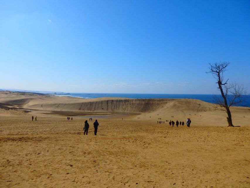 From Osaka: Tottori Sand Dunes,Hakuto Shrine Museum Bus Tour - Booking and Cancellation Policy