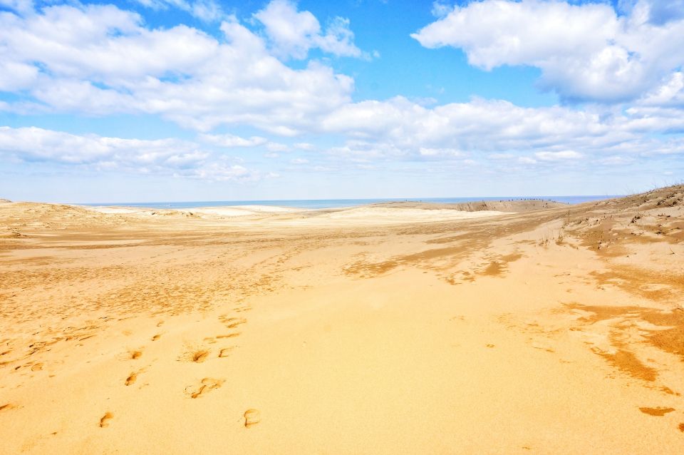 From Osaka: Tottori Sand Dunes,Hakuto Shrine Museum Bus Tour - Activity Details