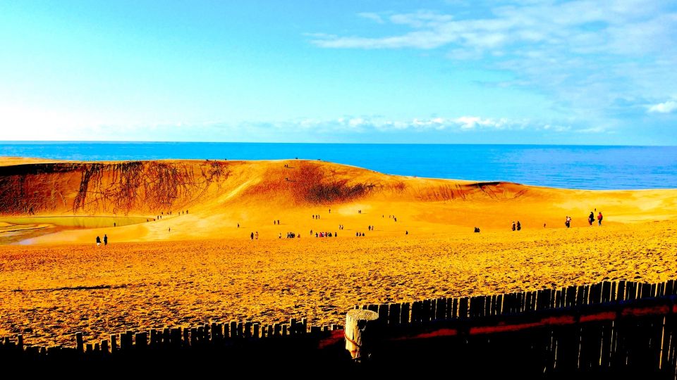 From Osaka: Tottori Sand Dunes,Hakuto Shrine Museum Bus Tour - Important Information