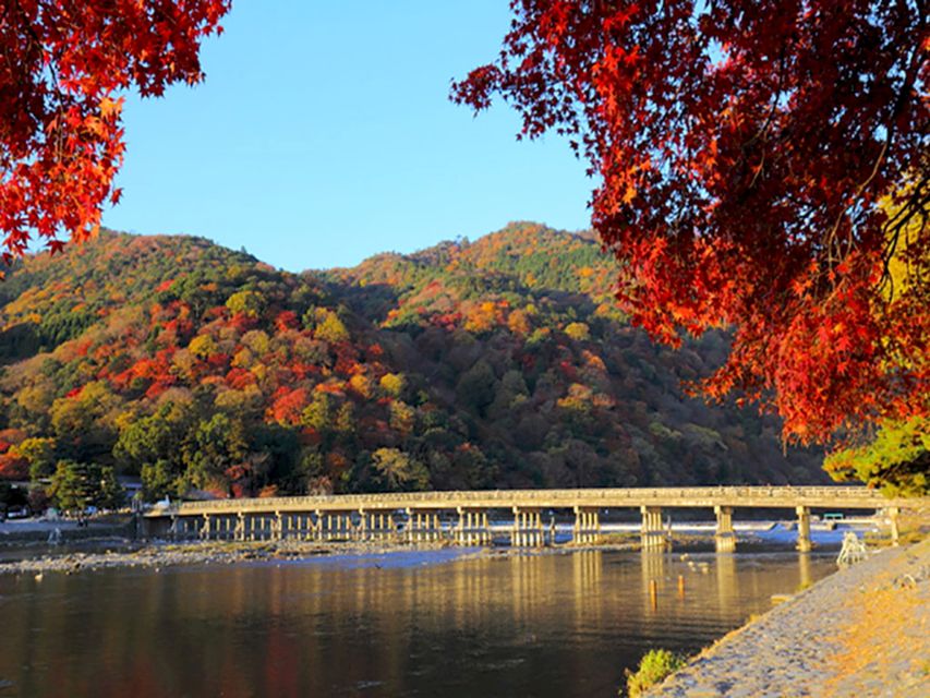 From Kyoto: Sagano Train Ride and Guided Kyoto Day Tour - The Sum Up