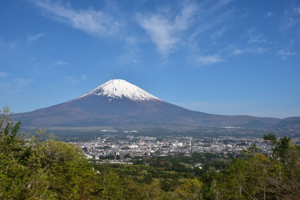 From Tokyo: 1 Day (SIC) Mount Fuji Gotemba Premium Outlet - Experience