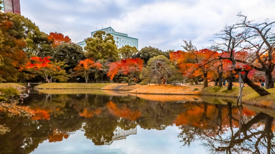 Tokyo: Full-Day Japanese Garden Private Guided Tour - Cancellation Policy