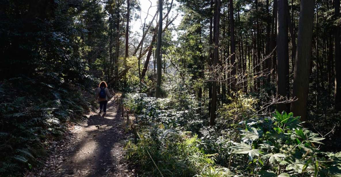 Kamakura: Daibutsu Hiking Trail Tour With Local Guide - Tour Highlights