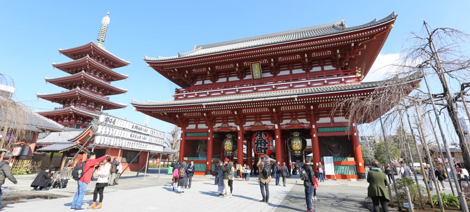 Tokyo: Full-Day Private Tour With Nationally-Licensed Guide - Activity Details