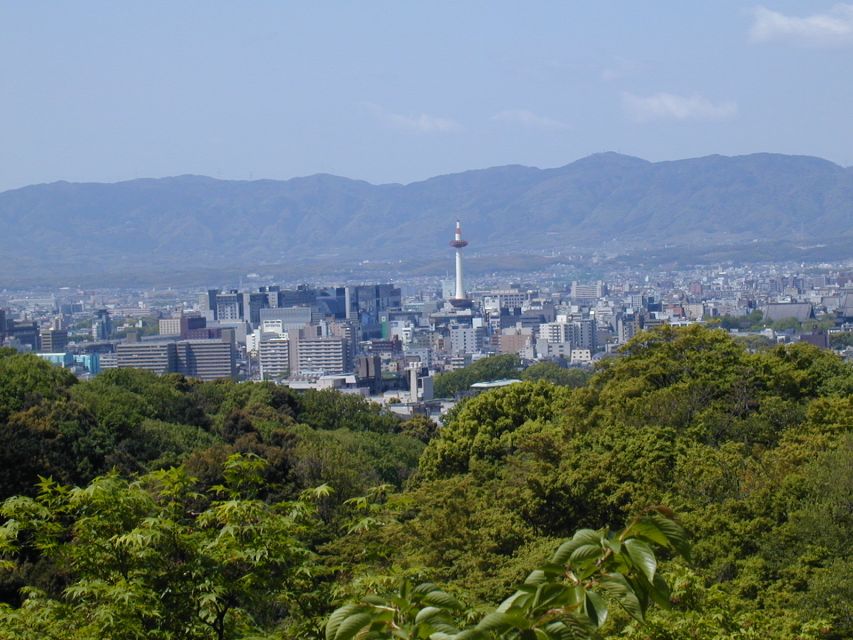 Kyoto: Private Tour With Local Licensed Guide - Experience