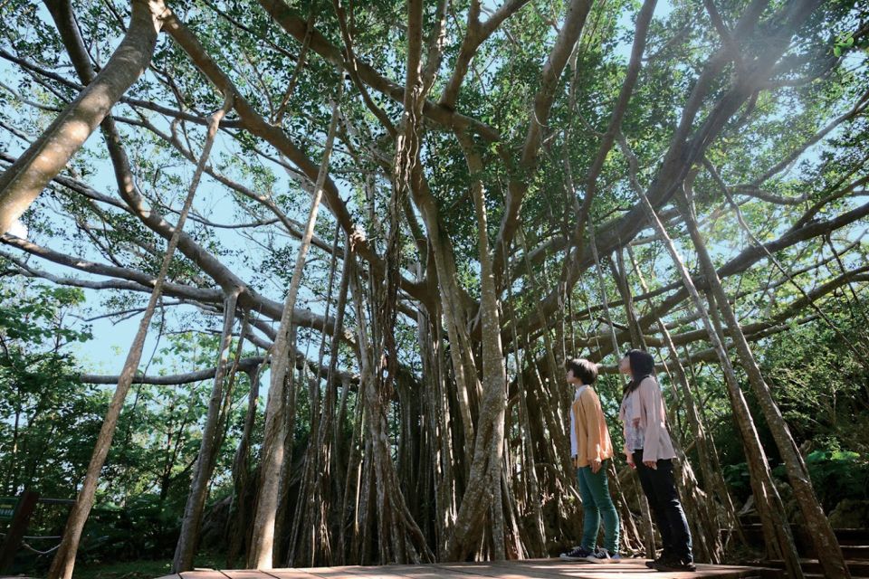 Okinawa: Full-Day Bus Tour to Yanbaru National Park - Explore Higashi-son Fureai Hirugi Park