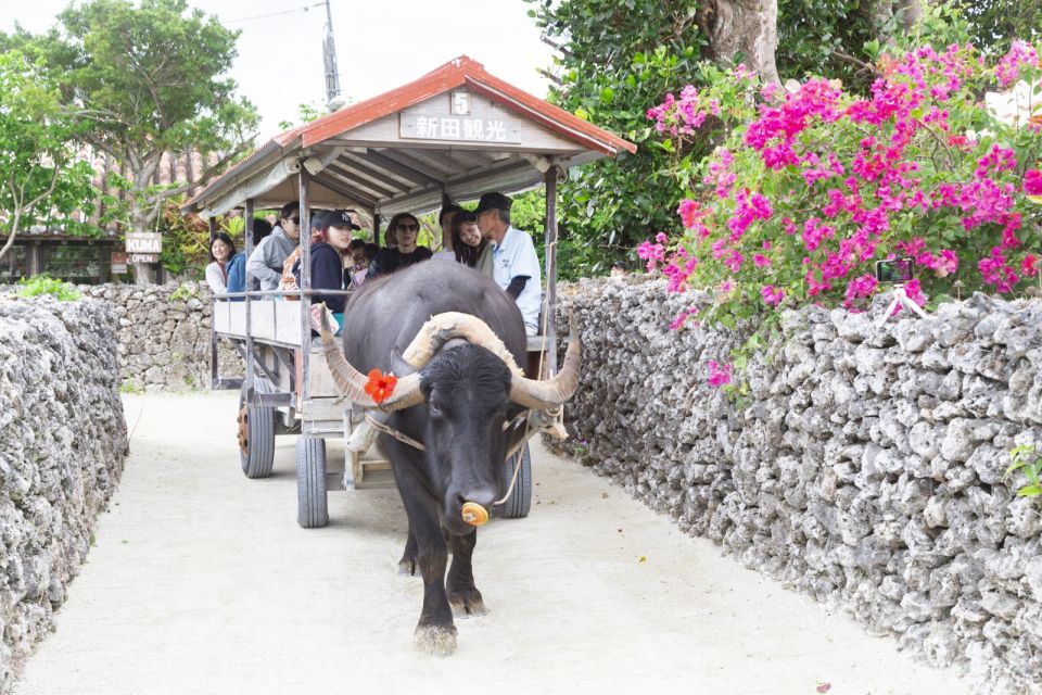 From Ishigaki: Hamajima and Taketomi Island Snorkel Trip - Taketomi Island Visit