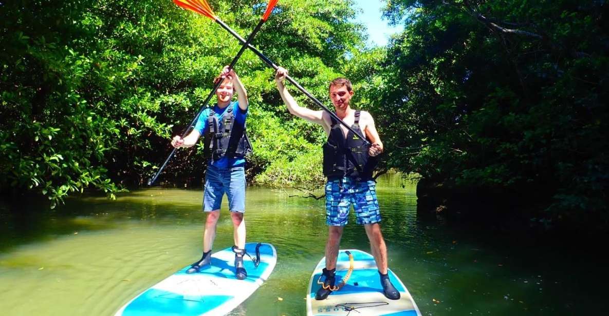 Ishigaki Island: SUP/Kayaking and Snorkeling at Blue Cave - Full Description of the Activity