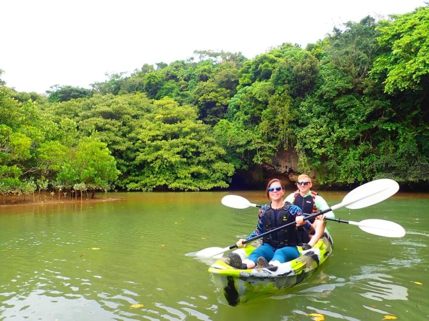 Ishigaki Island: SUP/Kayaking and Snorkeling at Blue Cave - Customer Reviews and Location Details