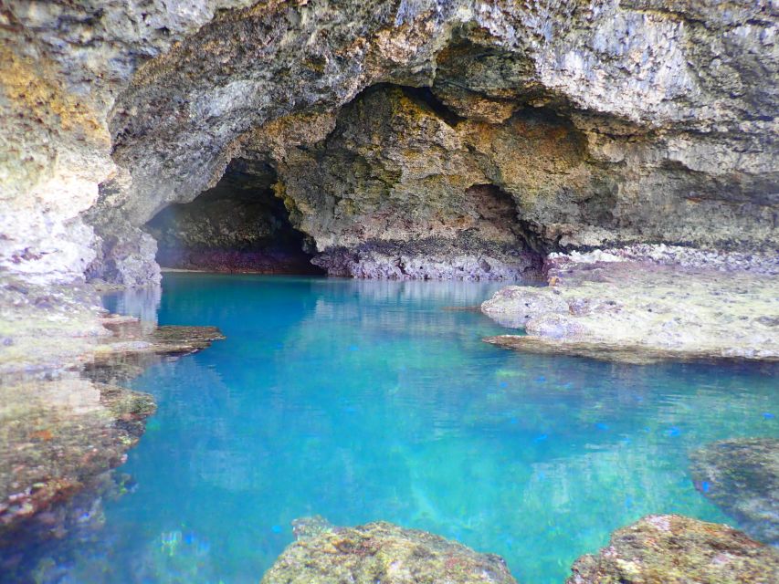 Ishigaki Island: SUP/Kayaking and Snorkeling at Blue Cave - Explore Mangrove Forests on the Miyara River