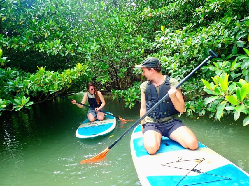 Ishigaki Island: SUP/Kayaking and Snorkeling at Blue Cave - Frequently Asked Questions