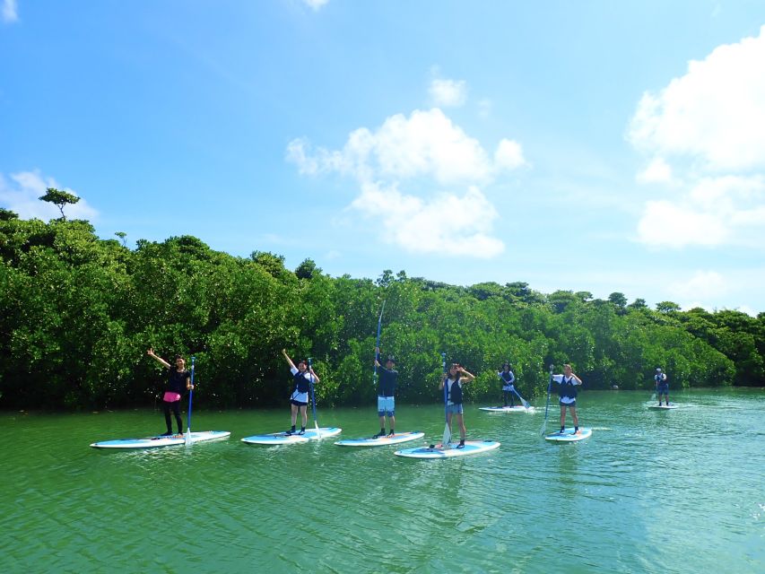 Ishigaki Island: SUP/Kayaking and Snorkeling at Blue Cave - Free Cancellation and Flexible Booking