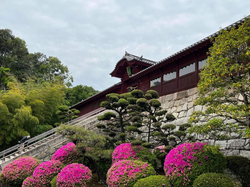 Hiroshima: Early Morning Hiking Tour With Tea Ceremony - Inclusions