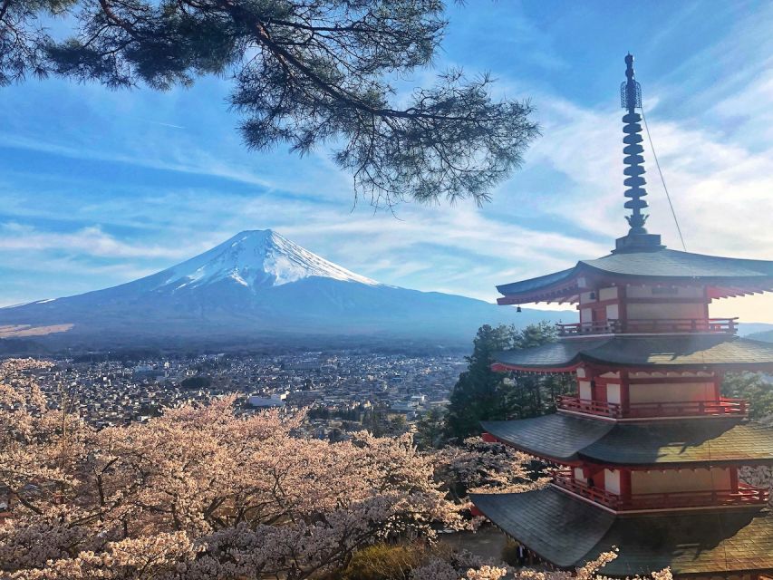 From Tokyo: Private Trip to Mount Fuji and Lake Kawaguchi - Experience