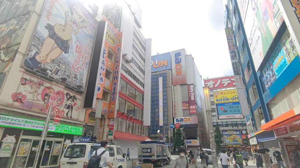 Akihabara: Anime and Electronics Guided Tour - The Sum Up