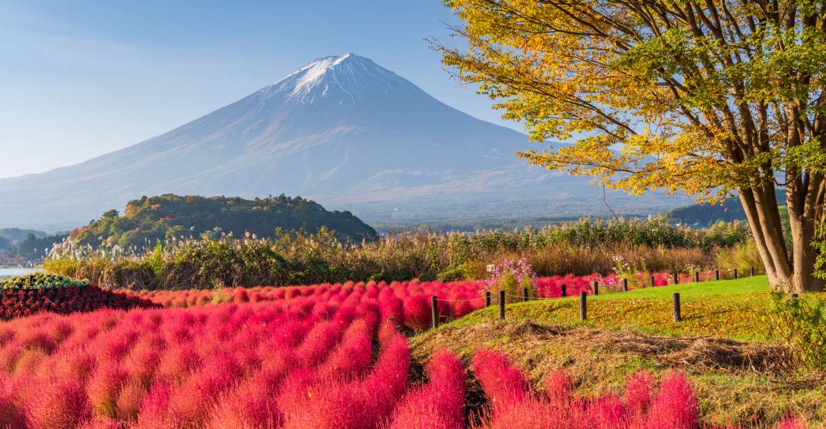 From Tokyo: Mount Fuji Highlights Private Day Tour - Experience Highlights