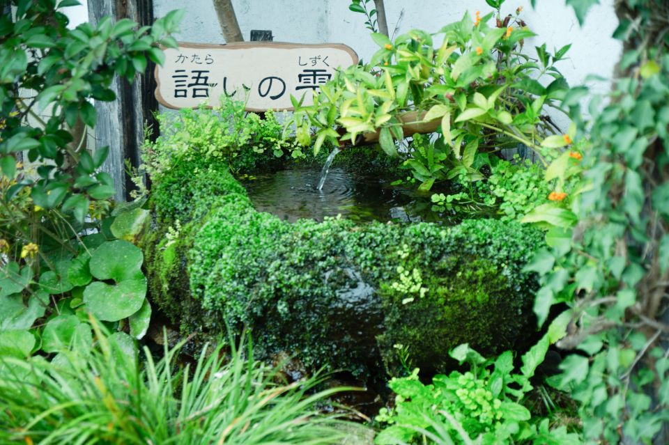 Aso: Monzenmachi Walking Tour With Spring Water and Herb Tea - Reservation and Payment Information