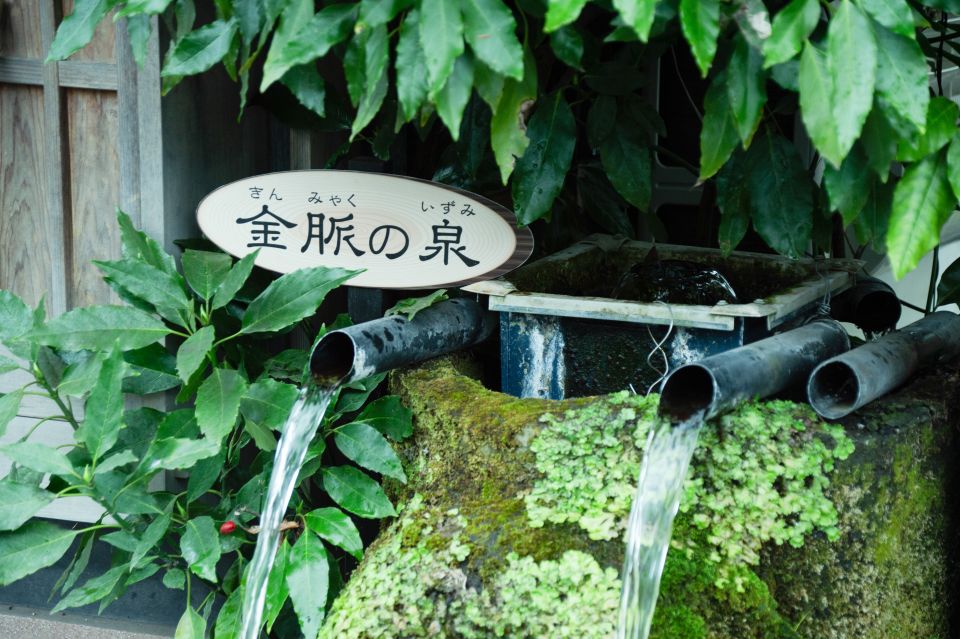 Aso: Monzenmachi Walking Tour With Spring Water and Herb Tea - Related Activities