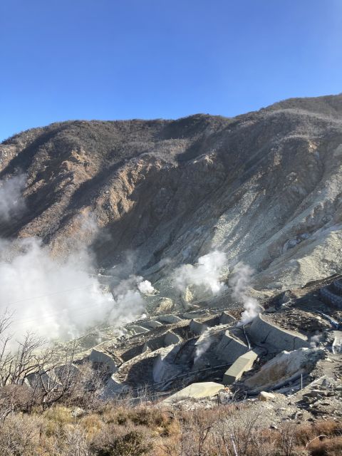 From Tokyo: Mt. Fuji & Hakone Tour W/ Return by Bullet Train - The Sum Up