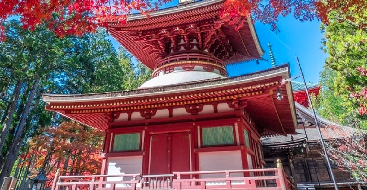 From Osaka: Mt. Koya Private Walking and Train Tour - Activity Details