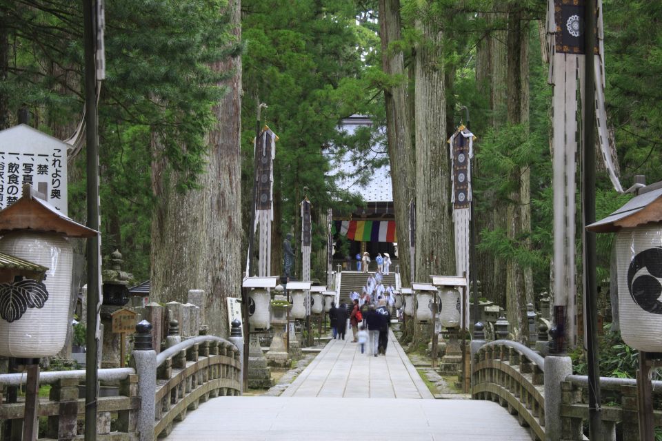 From Osaka: Mt. Koya Private Walking and Train Tour - Full Description