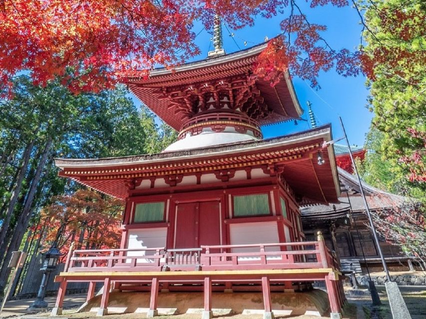 From Osaka: Mt. Koya Private Walking and Train Tour - Experience