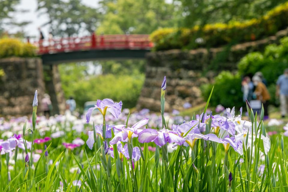 Odawara: Odawara Castle and Town Guided Discovery Tour - Taking in Samurai History at the Samurai Museum